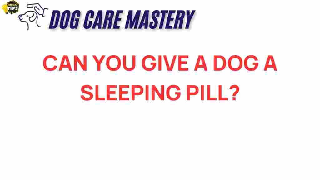 sleeping-pills-dogs