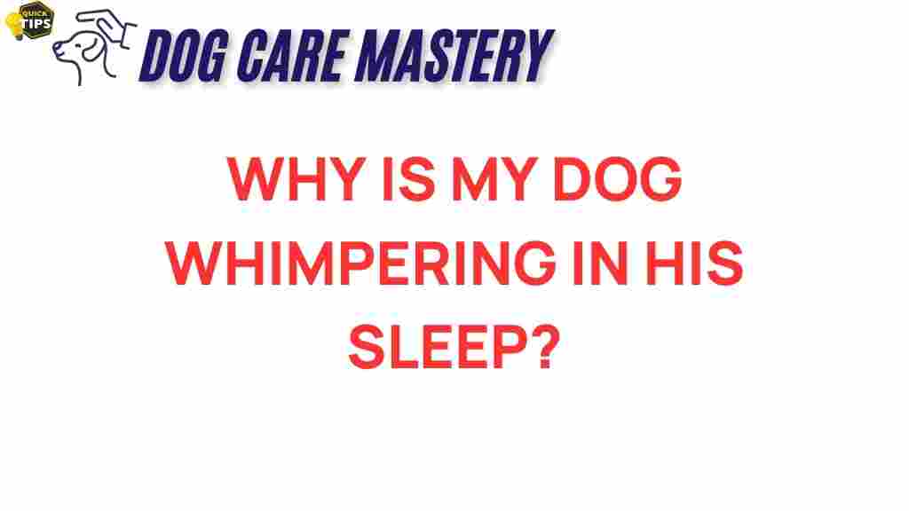 dog-whimpering-in-sleep